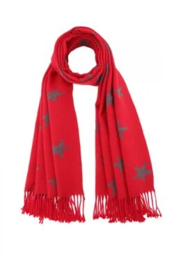 JAYLEY Red Cashmere And Silk Blend Reversible Star Scarf