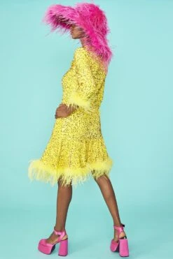 Deals Fabulous Women Wear Store -Deals Fabulous Women Wear Store jayley yellow sequin skater dress with feather trim p13268 89861 image